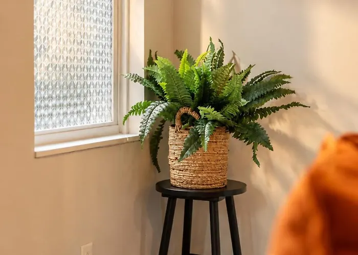 House Apartment Pittsburgh